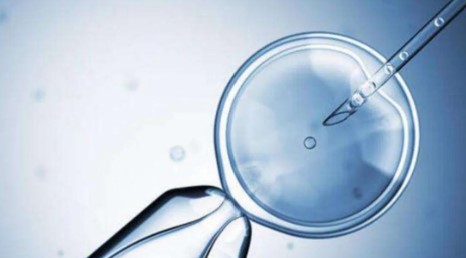 小狗不吃食怎么办还没精神