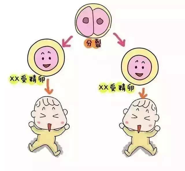 崔玉涛育儿百科