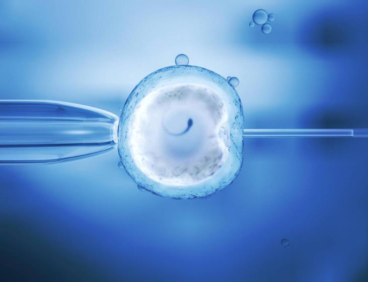 小狗不吃食怎么办