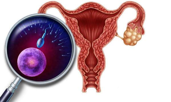 小孩没鼻涕但总吸鼻子