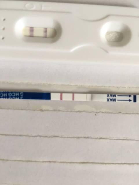 怀孕10几天能打掉吗