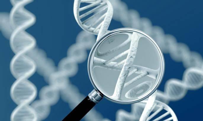 胎儿发育标准对照表