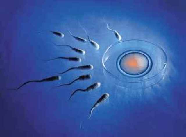 怀孕32周胎位不正