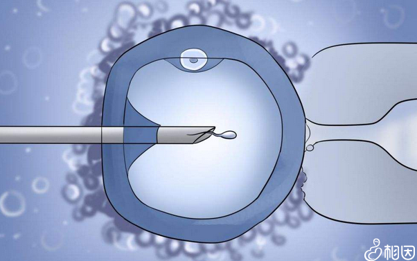 怀孕1-10月检查表