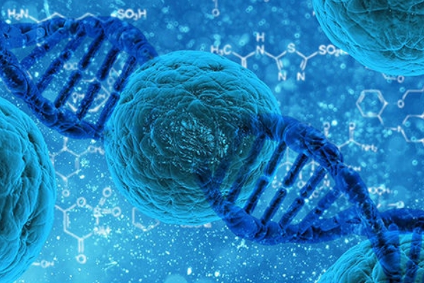 宁波试管婴儿价格