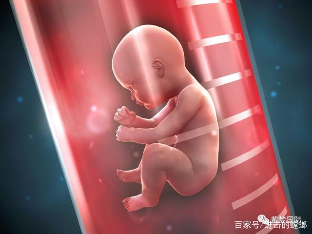 宁波试管婴儿费用