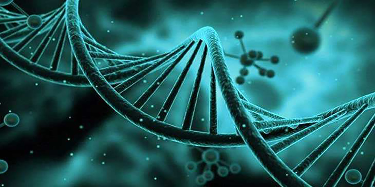 宁波试管婴儿双胞胎咨询